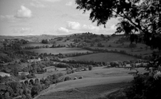 Enlarge photo 32