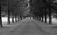 Enlarge photo 27