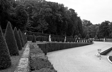 Enlarge photo 25
