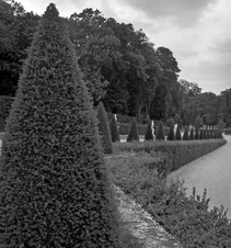 Enlarge photo 71