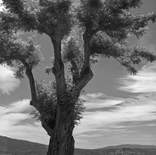 Enlarge photo 13