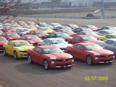 Camaros at Oshawa