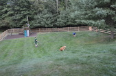 Fence