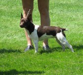Enlarge photo 9