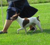 Enlarge photo 16