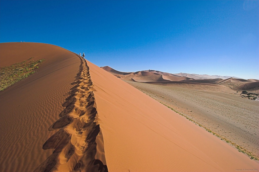 IMAGE: http://photos.imageevent.com/frankhollis/africa/namibia2006/huge/Namibia%20%20016.jpg