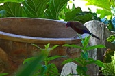 Enlarge photo 29