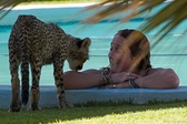 Enlarge photo 34
