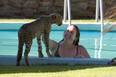 Enlarge photo 35