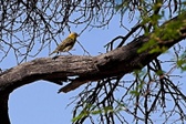 Enlarge photo 36