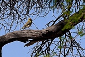 Enlarge photo 37