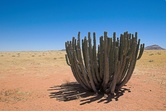 Enlarge photo 40
