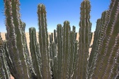 Enlarge photo 41