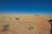 Enlarge photo 43