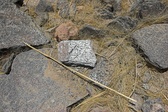 Enlarge photo 46