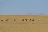 Enlarge photo 47