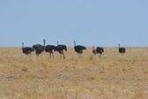 Enlarge photo 48