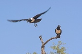 Enlarge photo 49