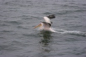 Enlarge photo 55