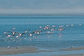 Enlarge photo 77