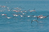 Enlarge photo 78