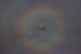 Enlarge photo 92