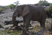 Enlarge photo 94