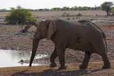 Enlarge photo 95