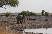Enlarge photo 97