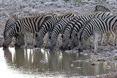 Enlarge photo 101