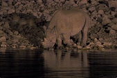 Enlarge photo 106