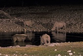 Enlarge photo 107