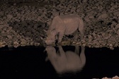 Enlarge photo 110