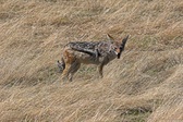 Enlarge photo 118
