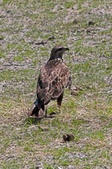 Enlarge photo 119