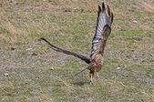 Enlarge photo 120