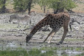 Enlarge photo 123