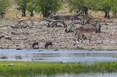 Enlarge photo 126