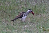Enlarge photo 128
