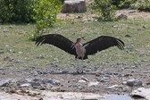 Enlarge photo 129