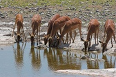Enlarge photo 131