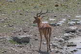 Enlarge photo 132