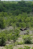Enlarge photo 133