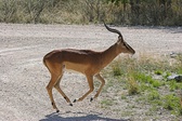 Enlarge photo 134