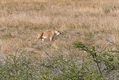 Enlarge photo 139