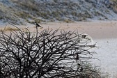 Enlarge photo 140