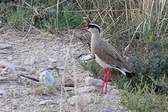Enlarge photo 143