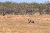 Enlarge photo 145