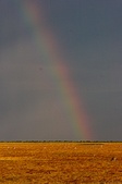 Enlarge photo 146