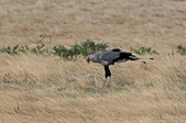 Enlarge photo 147